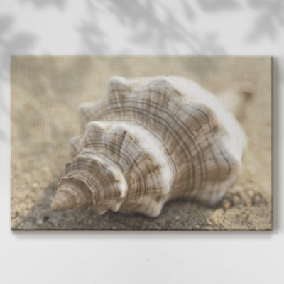 Calmer Shell I -Galerie enveloppée Cavas