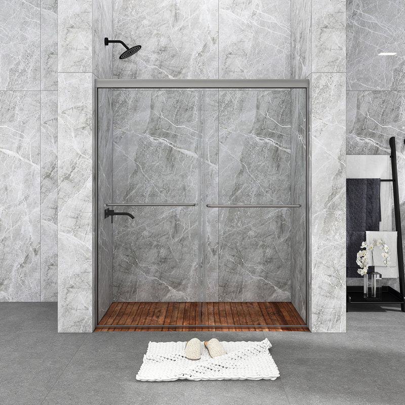 60 in. Chrome Framed Double Sliding Shower Door with Clear Glass