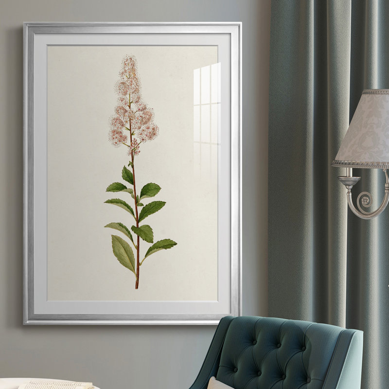 Mauve Garden Flowers II - peinture encadrée, H 30,5 po x l 22,5 po x P 1 po, Cadre argenté