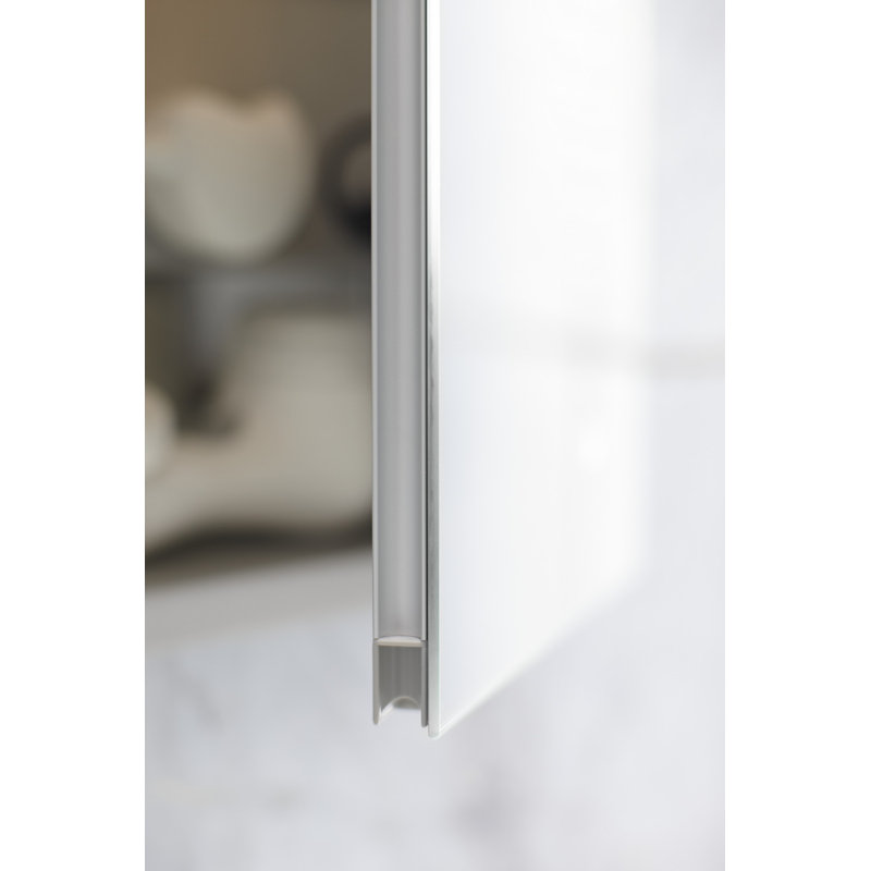 PL Series Recessed or Surface Mount Frameless 1 Door Medicine Cabinet with 3 Adjustable Shelves, Black, 30" x 19.25" x 3.75"