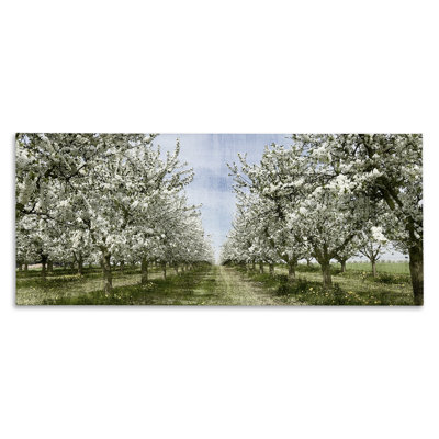 «Blooming White Flower Buds Trees Orchard Meadow» par Kim Allen - photographie