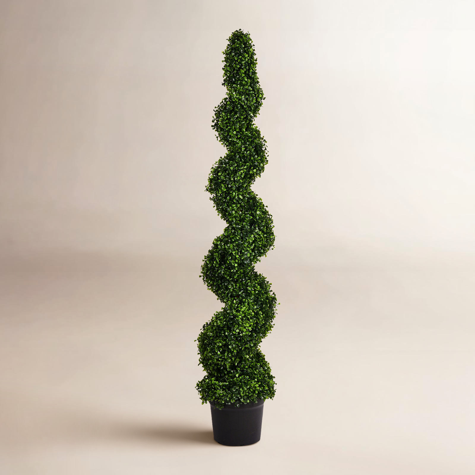 72" Boxwood Topiary in Pot, 60" H x 13" W x 13"D