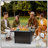 Outdoor Fire Pit 50,000 BTU Propane Gas Fire Table With Lid Fireplace With Glass Wind Guard Wicker Base For Garden, Patio, Backyard, 44"