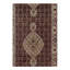Oriental Area Rug in Rust