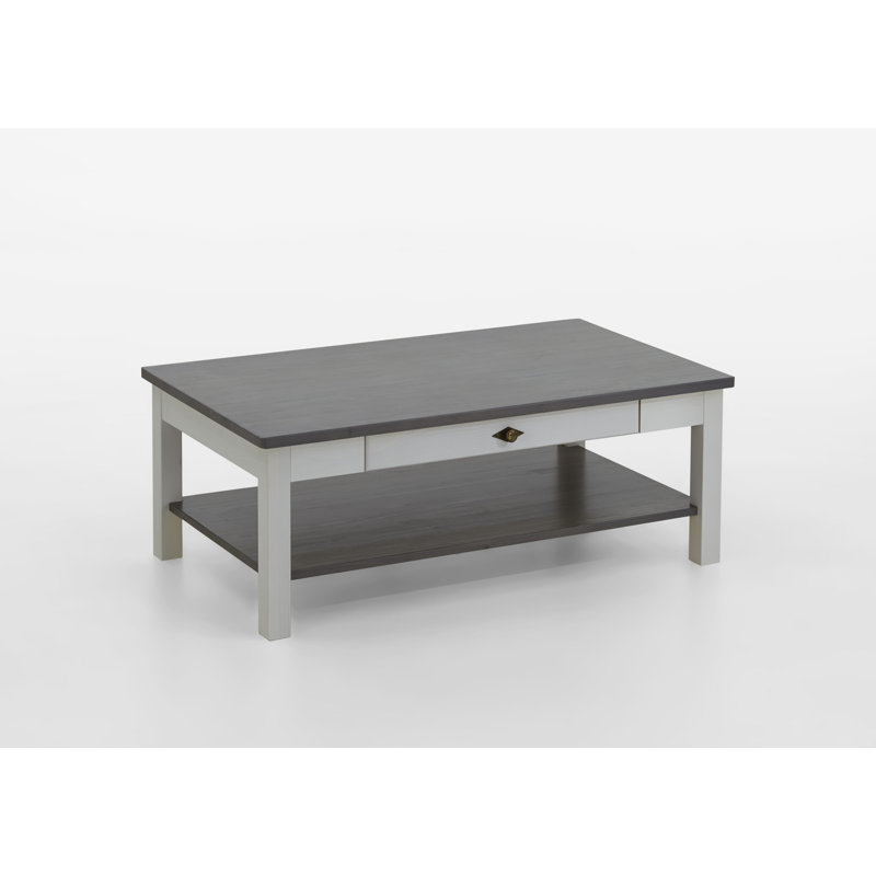 Hojanovice Coffee Table with Storage, White/Grey