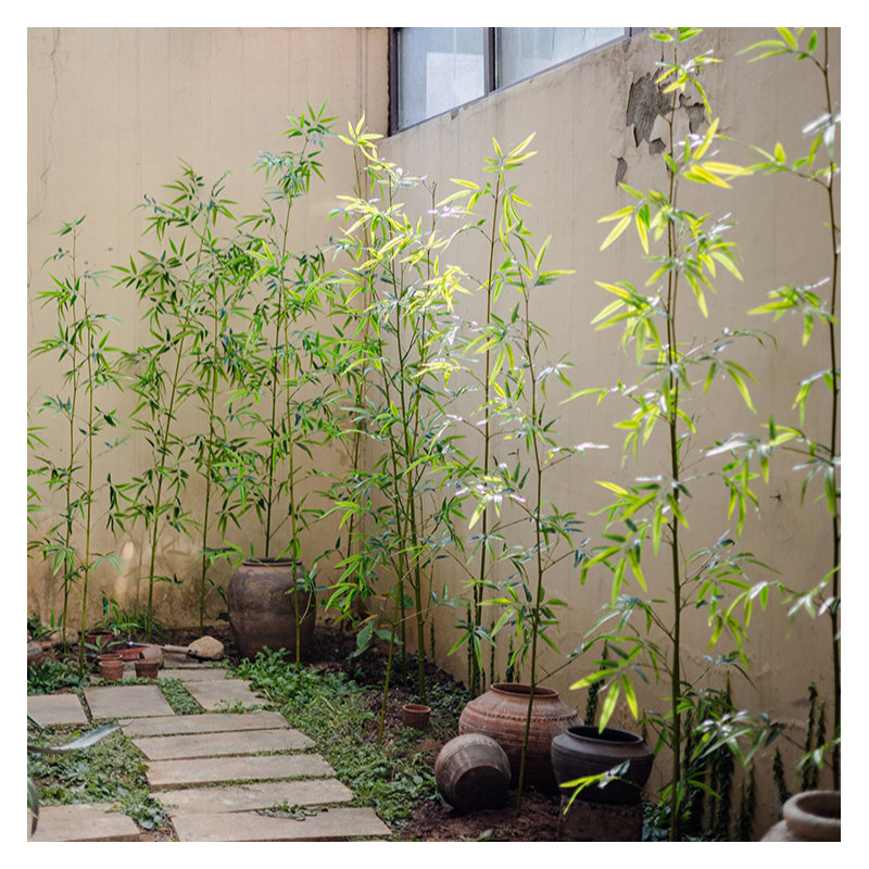 Bamboo Stem, 55.1" H x 23" W x 1" D