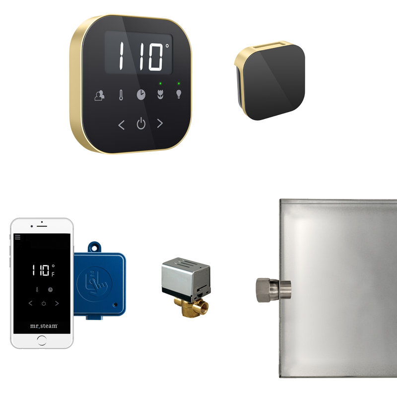 Ensemble de générateur de vapeur AirButler, Noir / laiton satiné