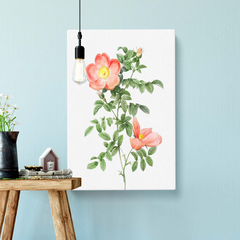 Pink Sweet Briar Rose by Pierre-Joseph Redoute - Wrapped Canvas Painting, 76cm H x 50cm W x 3cm D