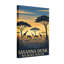 Paysage et nature Savane Dusk-243450415