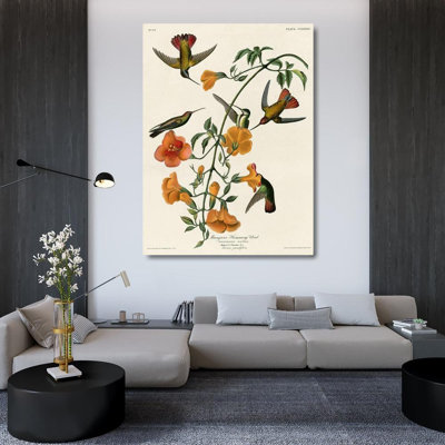 «Red Barrel Studio® Vintage Apple Collection», reproduction d'art sur toile tendue: Colibri mangrove