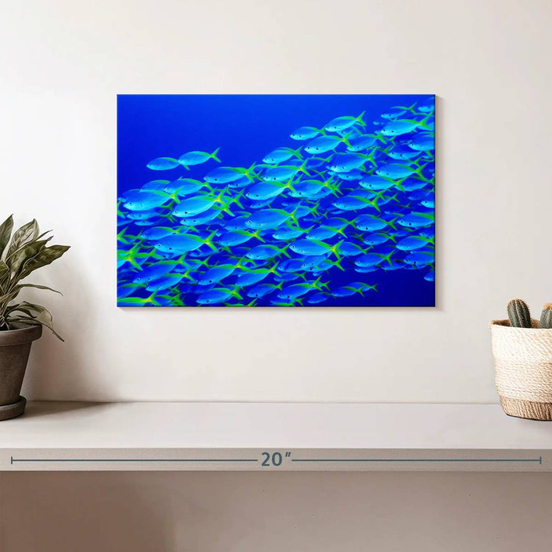 School Of Snapper Fish, 8" H x 12" W