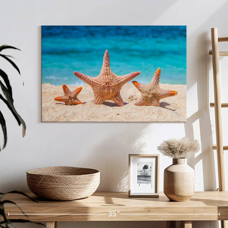 Starfish trio Aletra, H 16 po x l 24 po