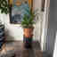 Photos des clients 1 de 1