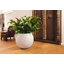 Pot Planter-275699181-348833670