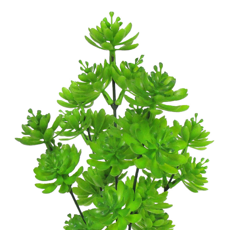Plante grasse artificielle 12 po Lotus, Vert