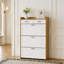 Deux tiroirs, trois portes pliantes, grande armoire à chaussures de rangement, blanc