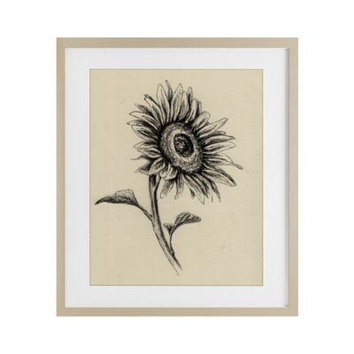 Tournesols en anthracite, reproduction encadrée sous verre, design par Leah Noel Art