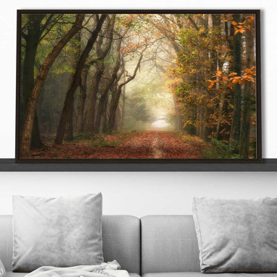 «Path of Dreams» par Lars Van de Goor - photographie