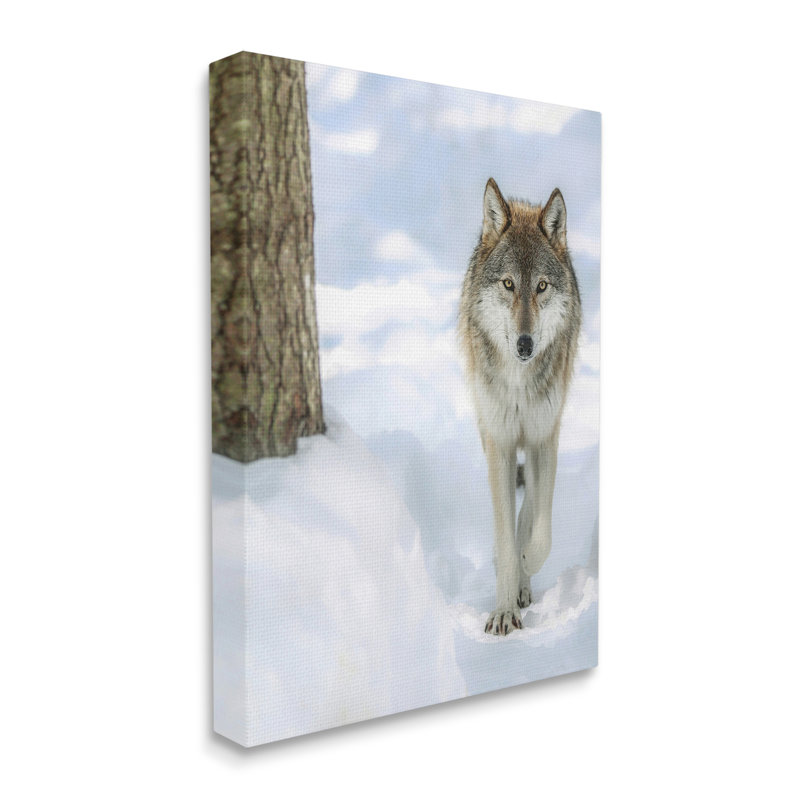 «Au-937-Canvas Wild Wolf Winter Snow On Canvas» par Carrie Ann Grippo-Pike, photographie, H 48 po x l 36 po x P 1,5 po