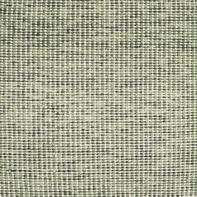 Indoor Rug