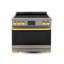 36 Inch Luxury Series Induction Range, VEGA Edition-138192822