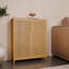 Armoire de rangement grande capacité