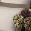 Eden Sham-59385549-59385548
