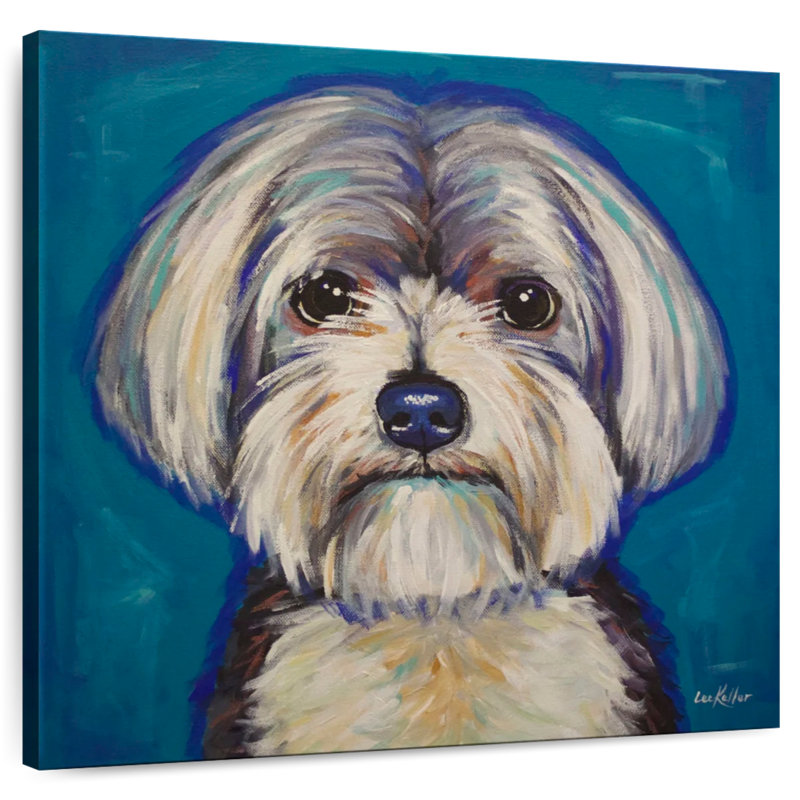 Crowle Maltese Yorkie, 20" H x 20" W