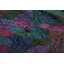 One-of-a-Kind 4’3x5’11 Hand Knotted Area Rug