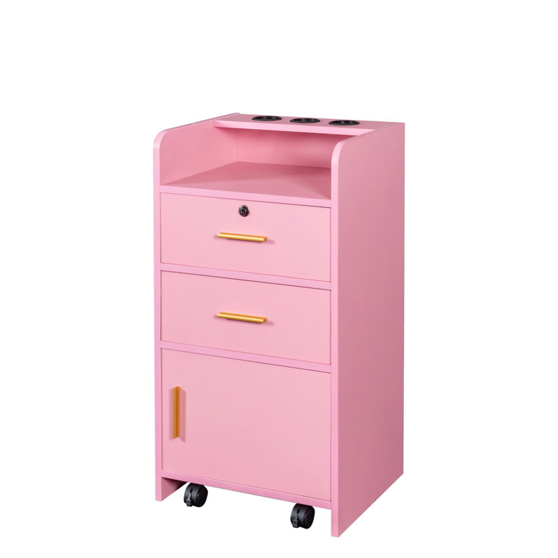 Cabinet de beauté pratique pour divers articles - 2 tiroirs et 1