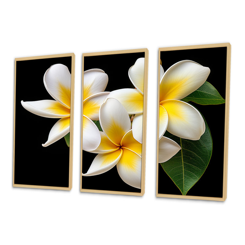 Rêve de rêve Plumerias pureté - ensemble d'art sur toile Plumeria, Cadre naturel flottant, H 28 po x l 36 po x P 1 po