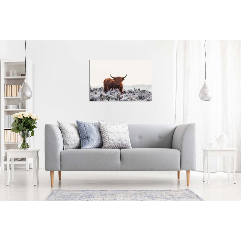 Highlander Bison Out In Nature - Wrapped Canvas Print, 61cm H x 91cm W