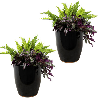 Captivating Vista 11.5" x 11.5" x 14" Round Ceramic Planter 2-Count - Obsidian