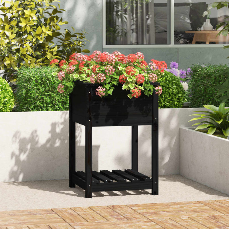 Aalap Wood Raised Garden Bed, Black, 81cm H x 54cm W x 54cm D