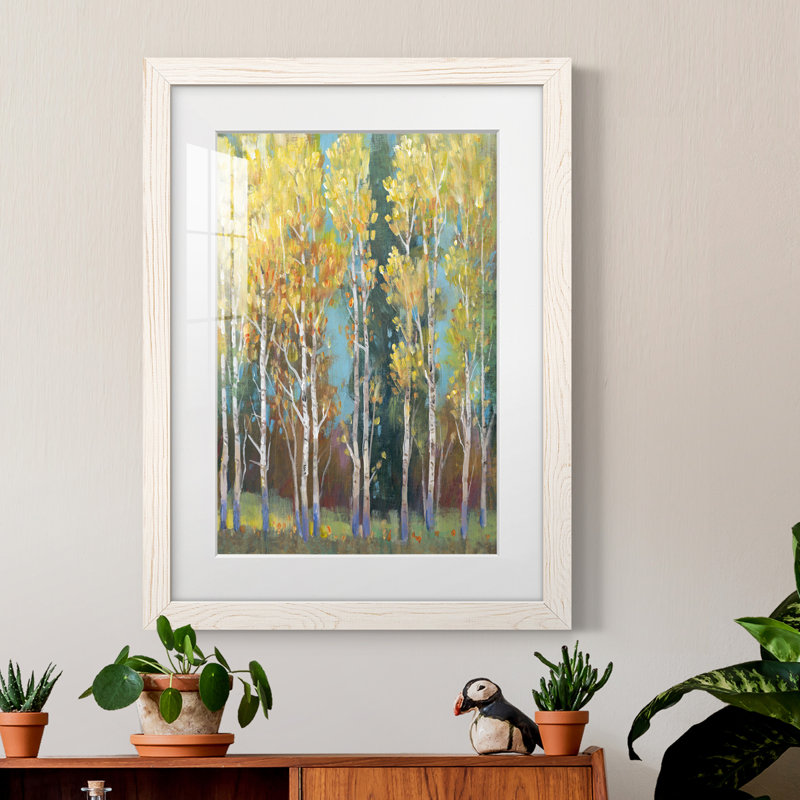 Aspen Grove I encadré mat - prêt à accrocher, Blanc, H 24 po x l 20 po x P 1 po