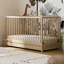 Teddi 5-in-1 Convertible Crib with Storage-71801591-111845994