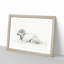 Lying Sheep by Jean Bernard - Framed Print-55577303-55577304