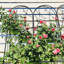 2 Pack Metal Garden Trellis 86.7" X 19.7" Rustproof Trellis For Climbing Plants Outdoor Flower Support Dragonfly Deco Black