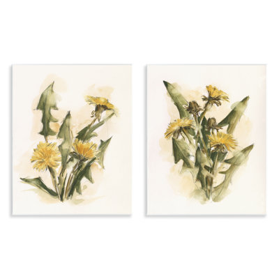 «Dandelion Watercolor Sketch», ensemble de 2 plaques murales par Ethan Harper