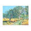 Art sur toile, Bolice Eva Galonska Ahrensesth-105649518