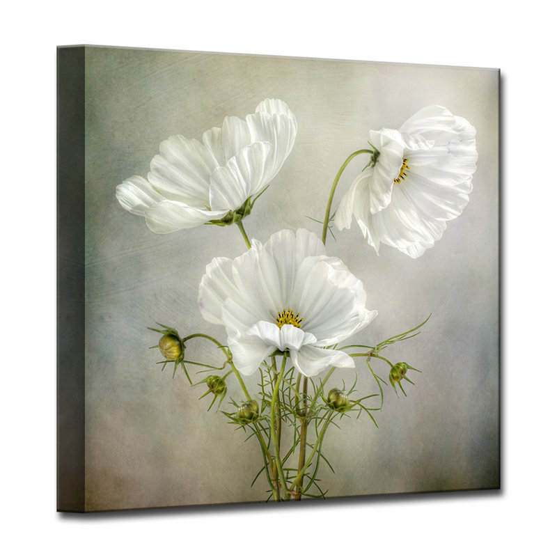 Cosmos Charm - reproduction de photo sur toile tendue, H 20 po x l 20 po x P 1,5 po