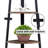 Mel 72'' Tall 5 Tier Corner Bookcase-1688073163