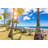 Palm Trees_1142828038-2143147475