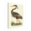 «Custom Purple Heron» par John Selby, reproduction sur toile-33522025