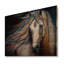 Syrine - Animaux, reproduction sur bois de pin naturel-1711761381