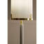 Fig Metal Table Lamp