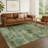 Machine Washable Indoor/Outdoor Kerwin ACN2370 Abstract Rug-1088573492