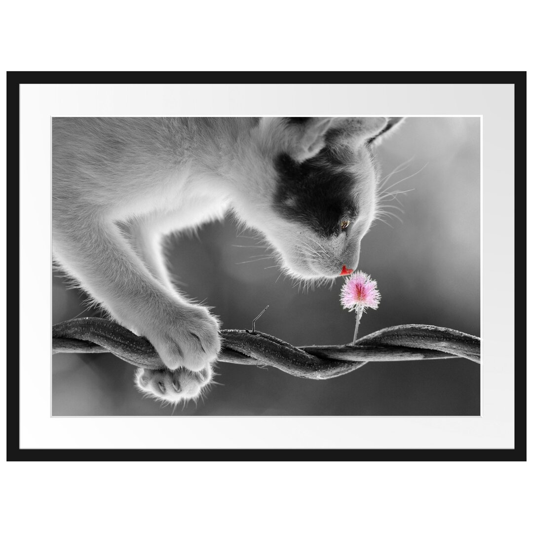 Gerahmtes Poster Niedliche Katze mit Blüte