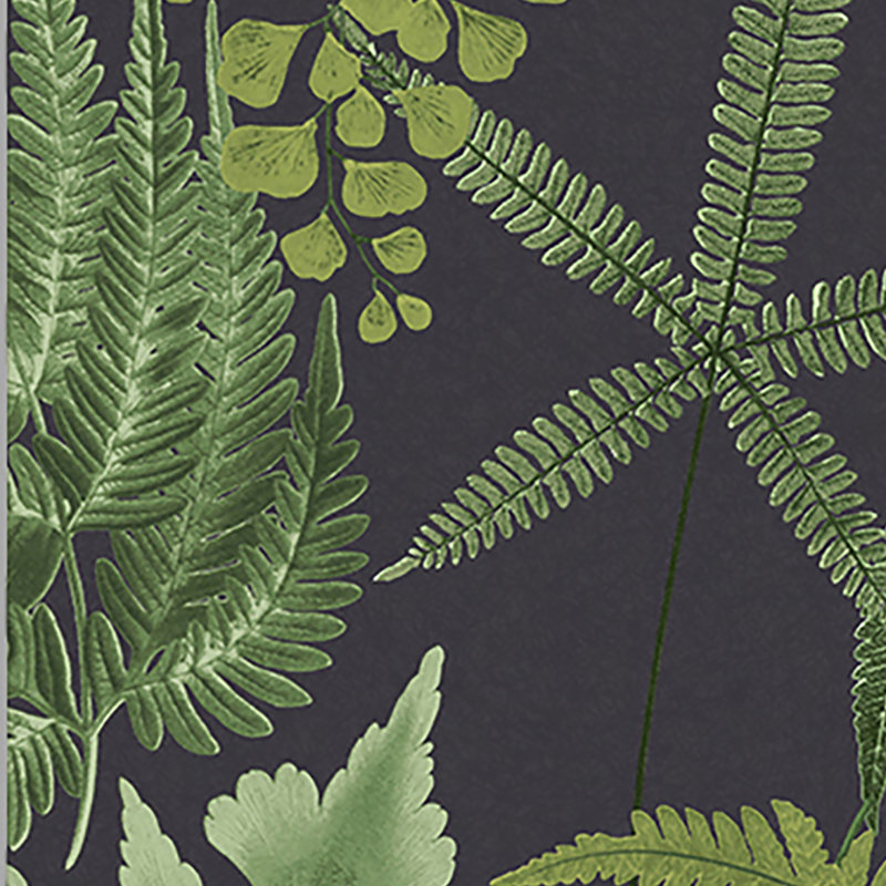 Midsummer Fern Floral Wallpaper Double Roll, Black/Green