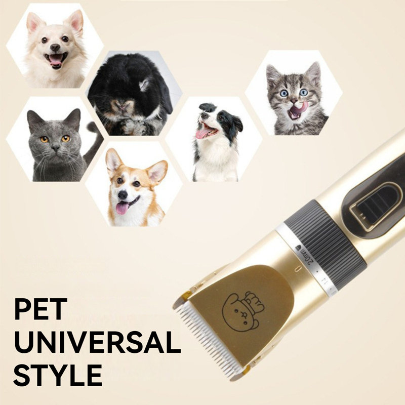 Ensemble de toilettage pour chien avec rasoir rechargeable à faible bruit